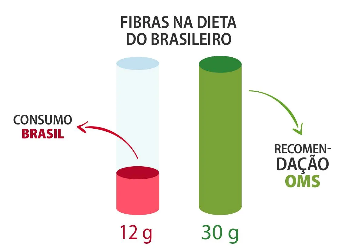 alimentos ricos em fibra