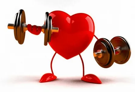 benefícios das fibras